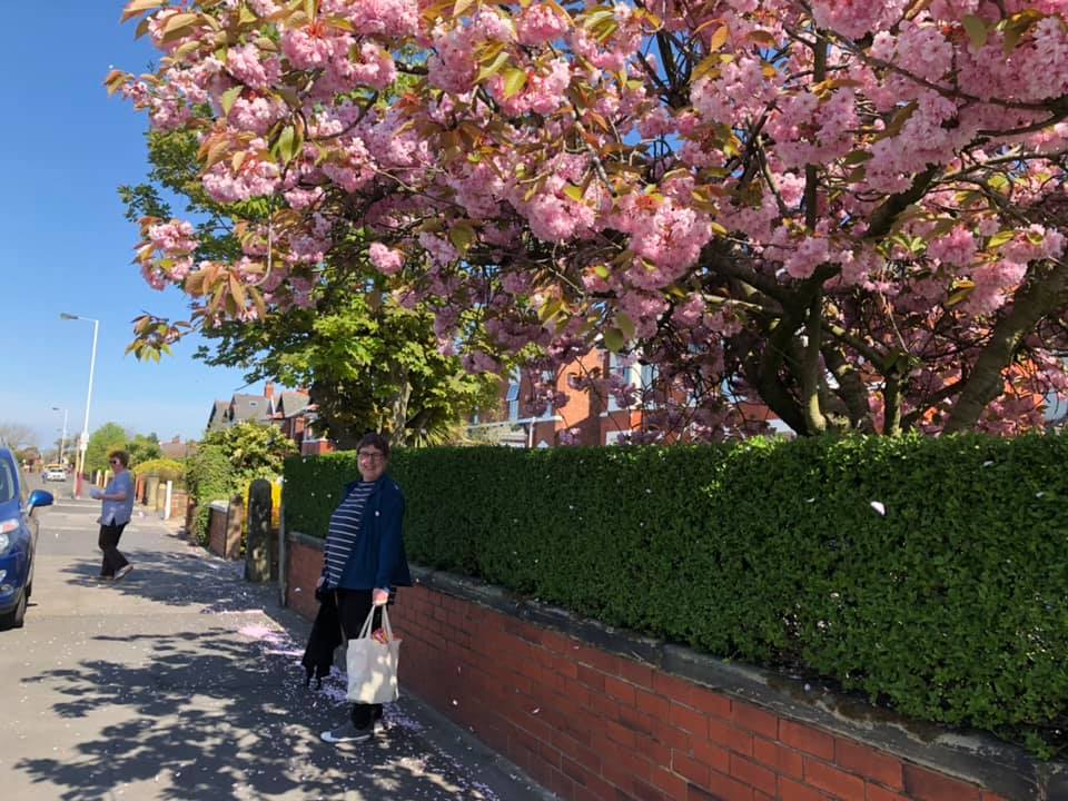 A blossom tree in Southport. Photo by Laura Wearing