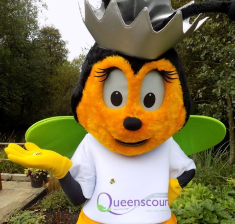 Forget lockdown and join Challenge 2.6 to raise funds for Queenscourt