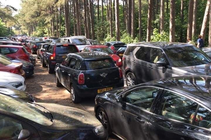 Crowds of people visited Formby